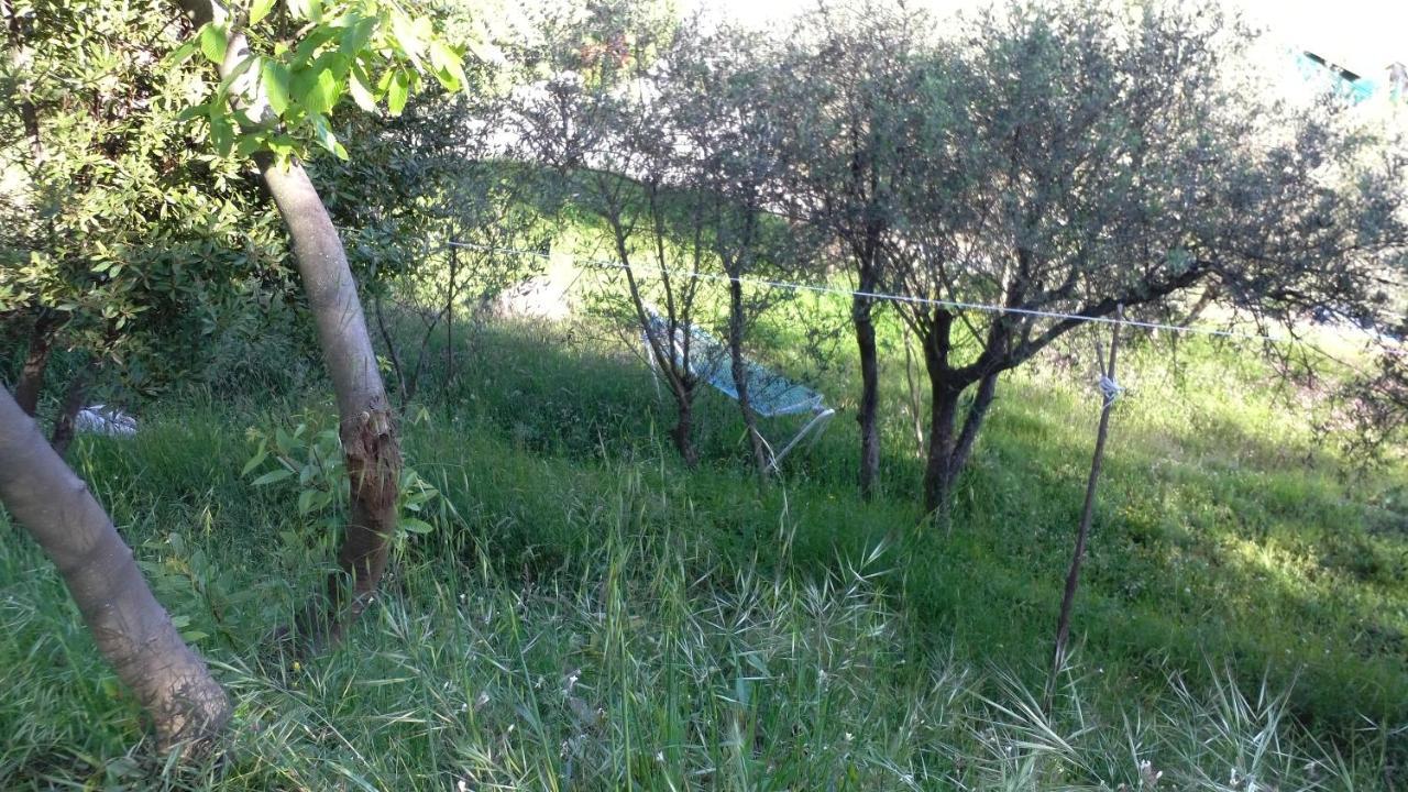 مبيت وإفطار ريكو ديل غولفو دي سبيزيا Cinque Terre Tra Il Filo Di Arianna المظهر الخارجي الصورة